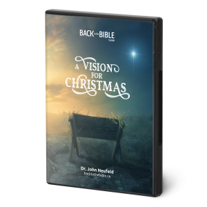 A Vision for Christmas
